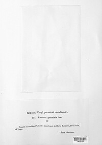 Image Associated With the Occurence